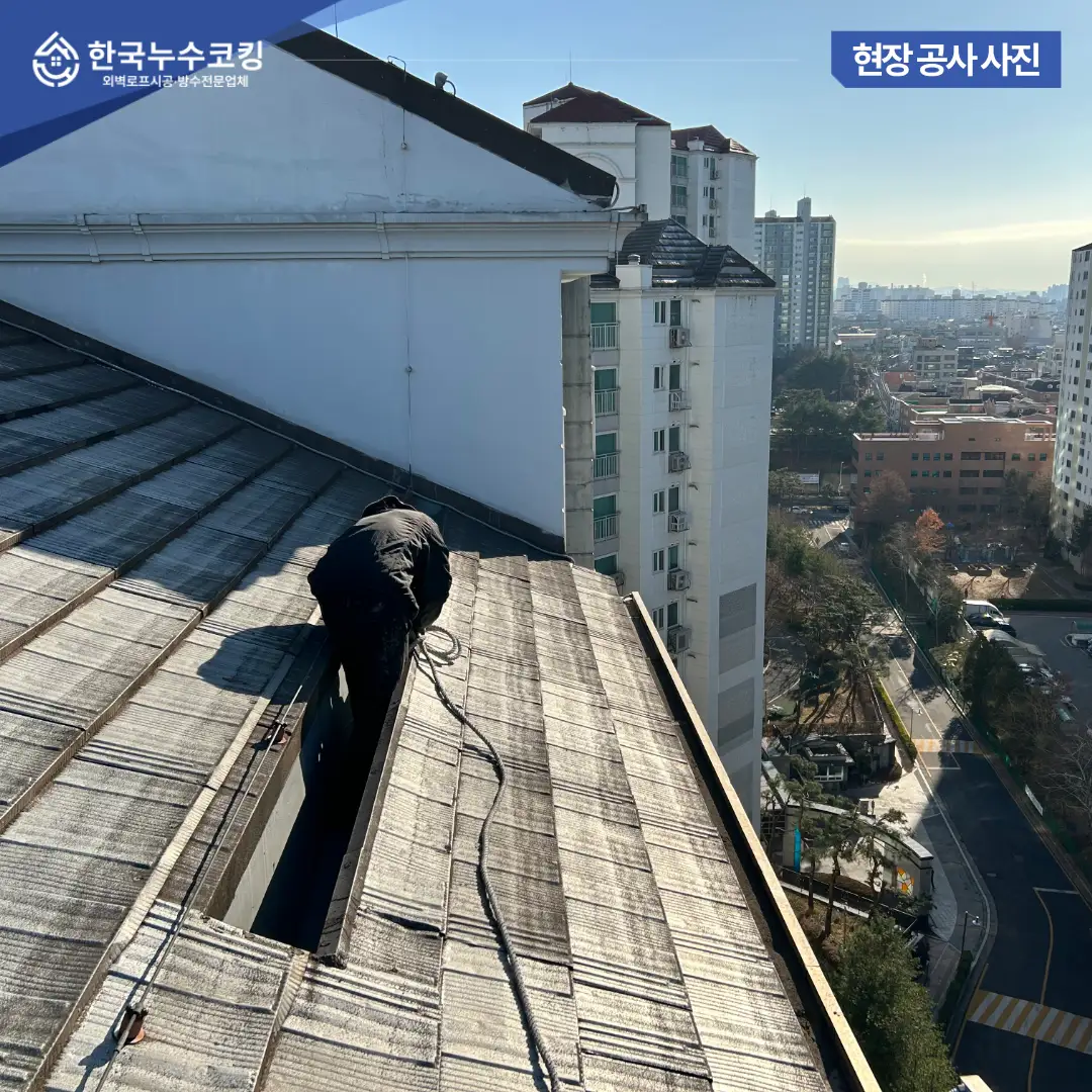 이미지 4