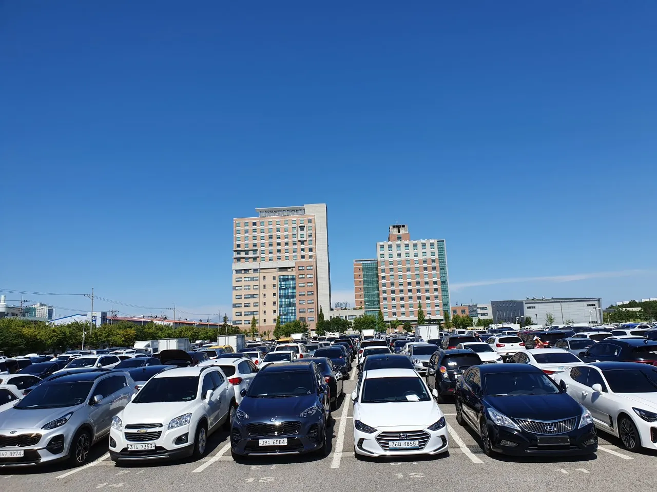 이미지 7
