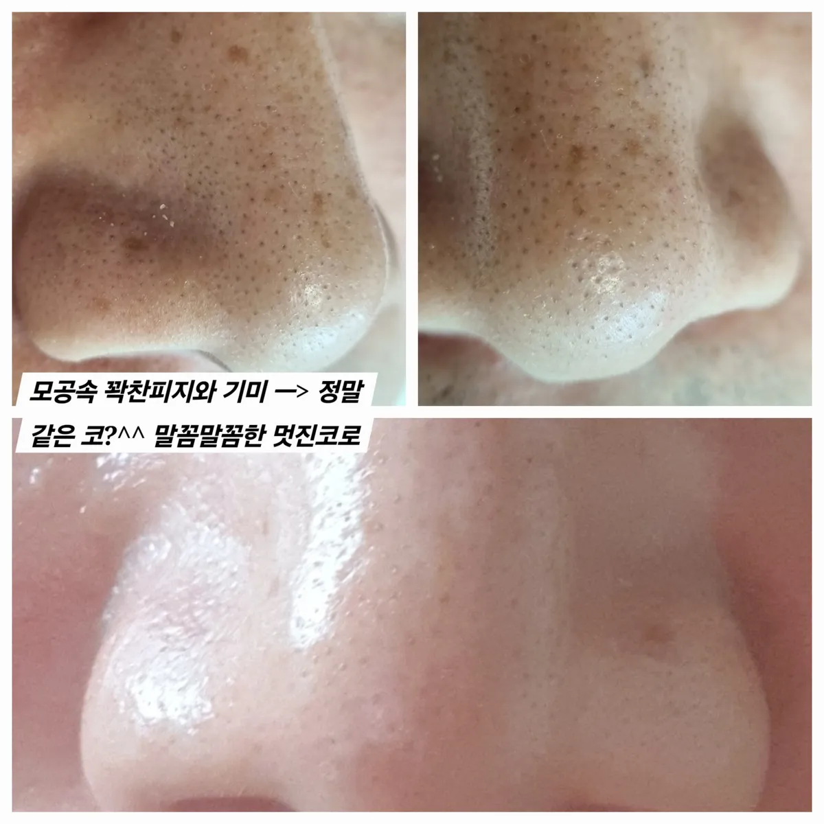 이미지 24