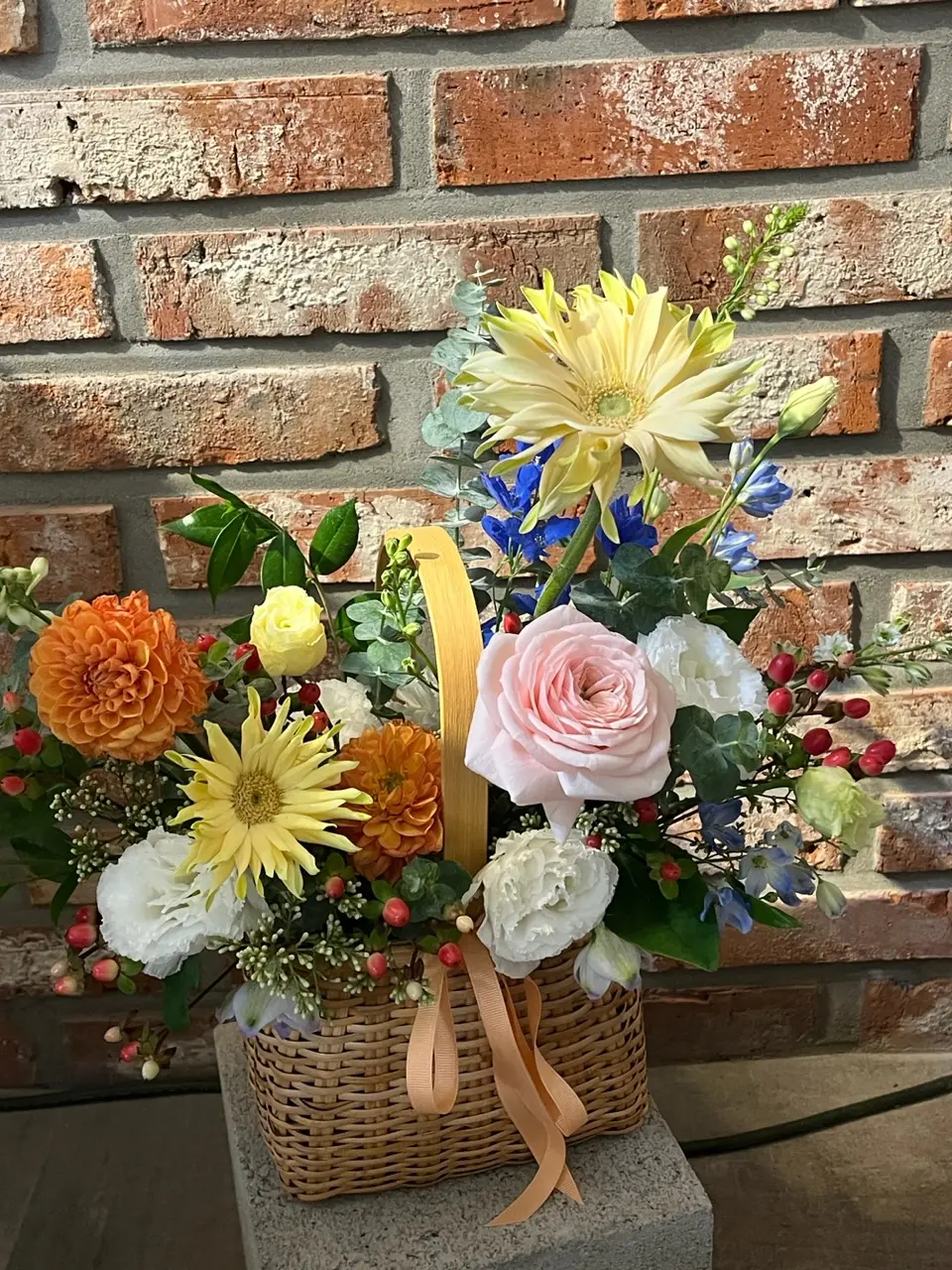 이미지 7