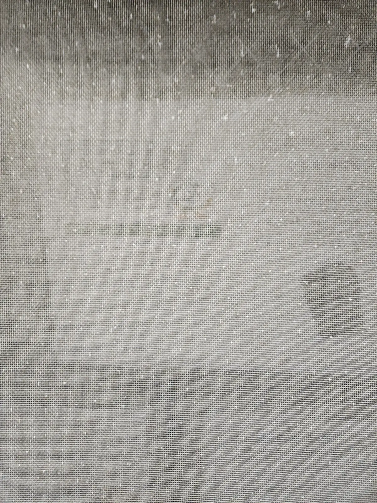 이미지 4