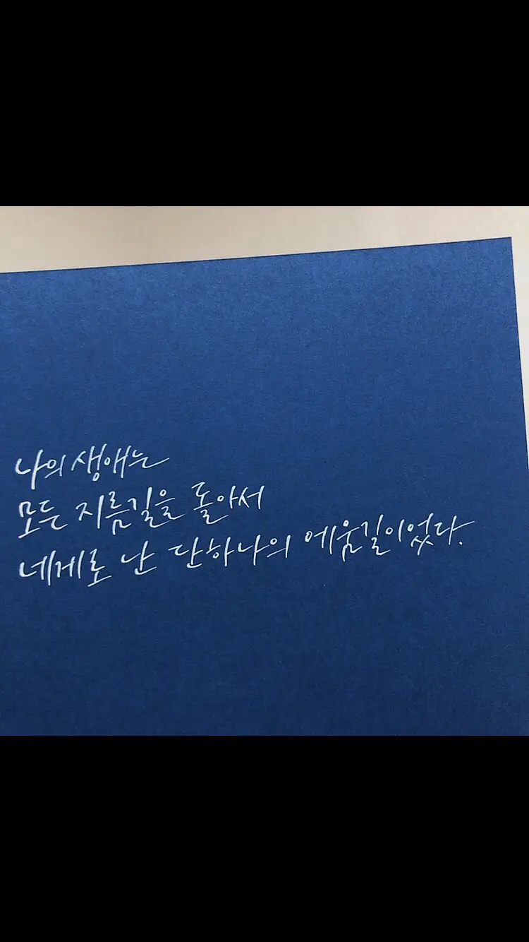 이미지 10