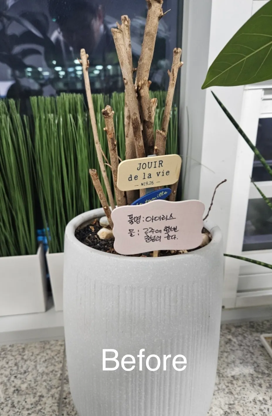 이미지 4