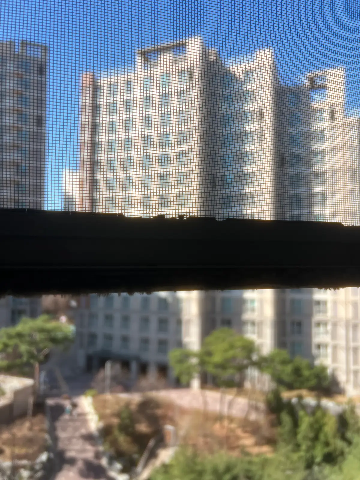이미지 3