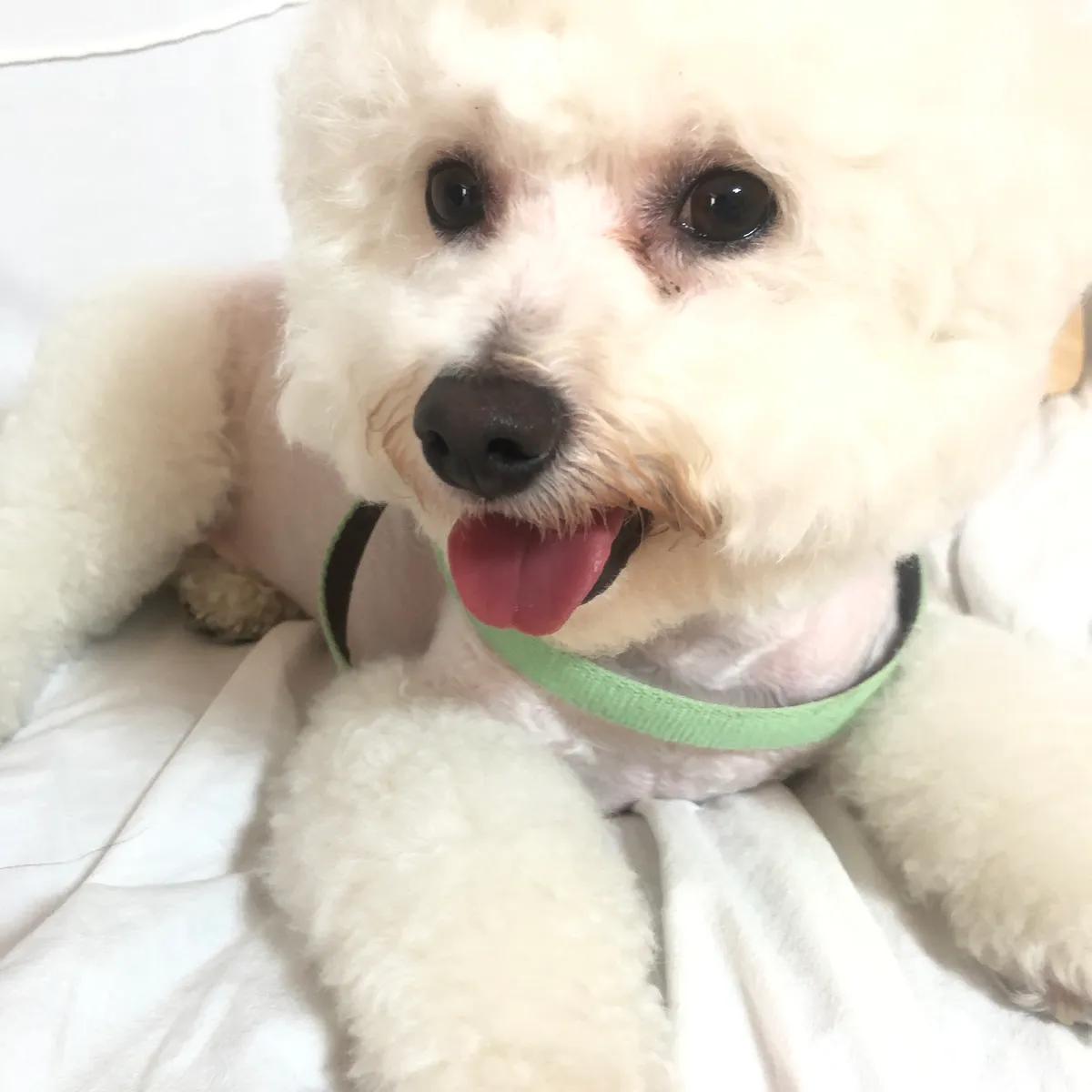 이미지 5