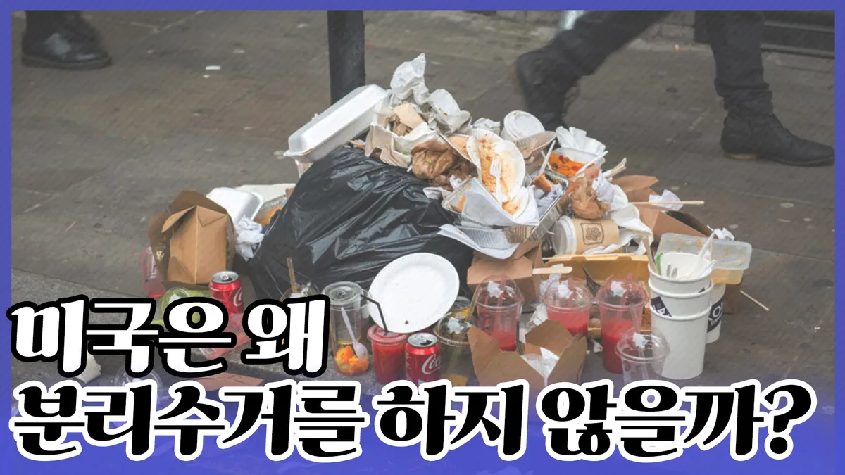 이미지 6