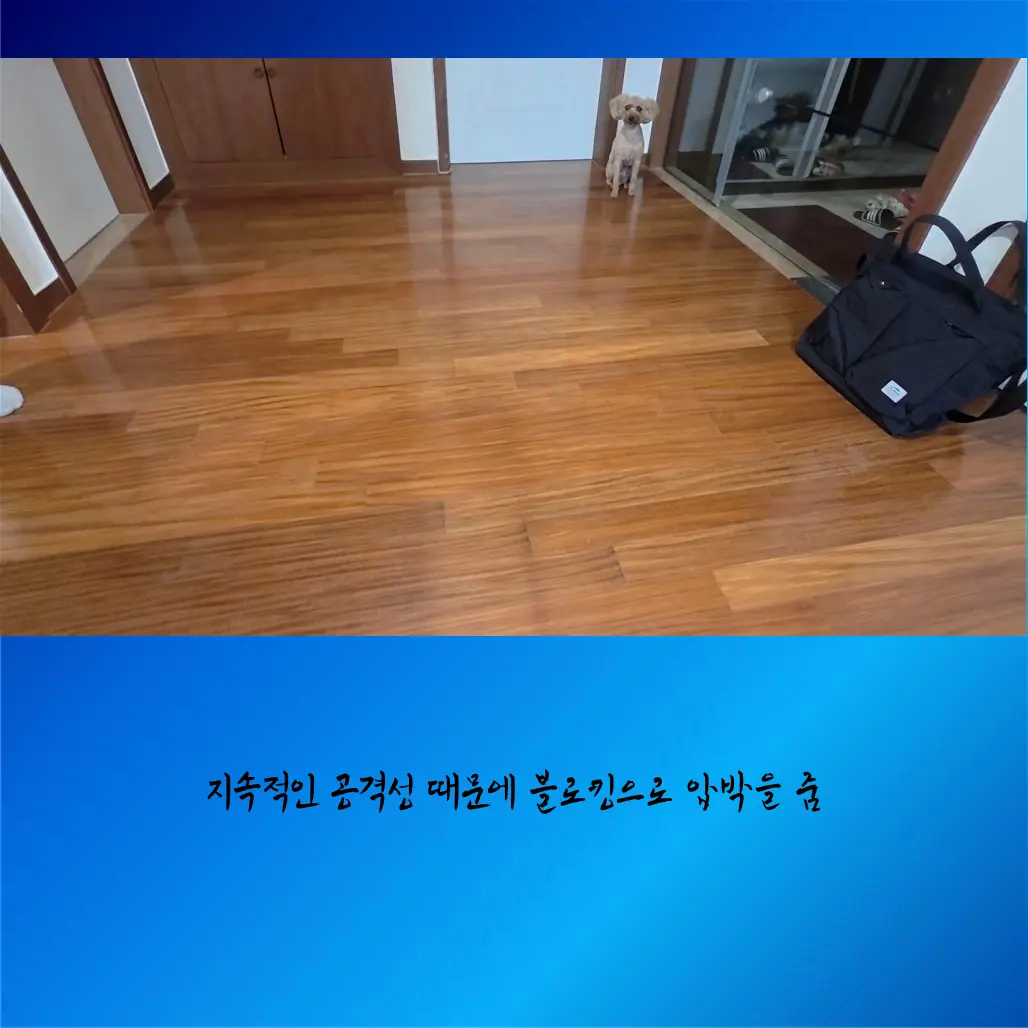 이미지 12