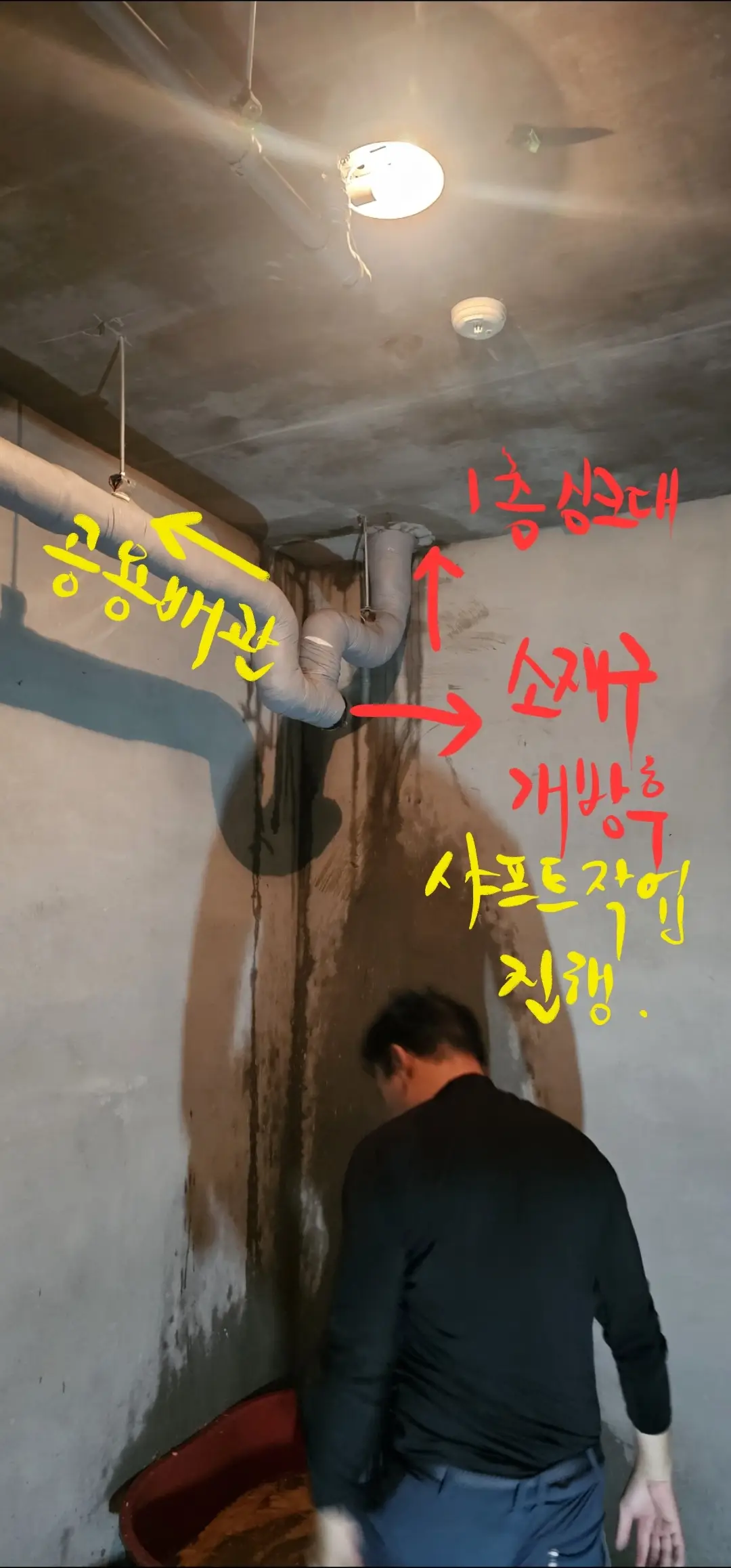 이미지 3