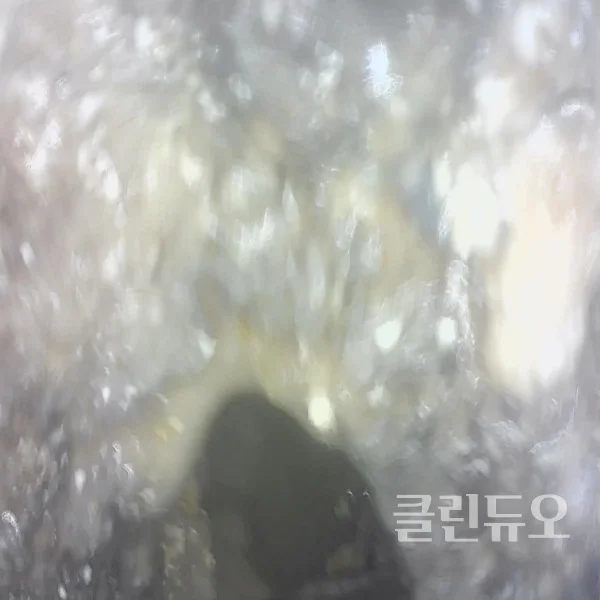 이미지 8