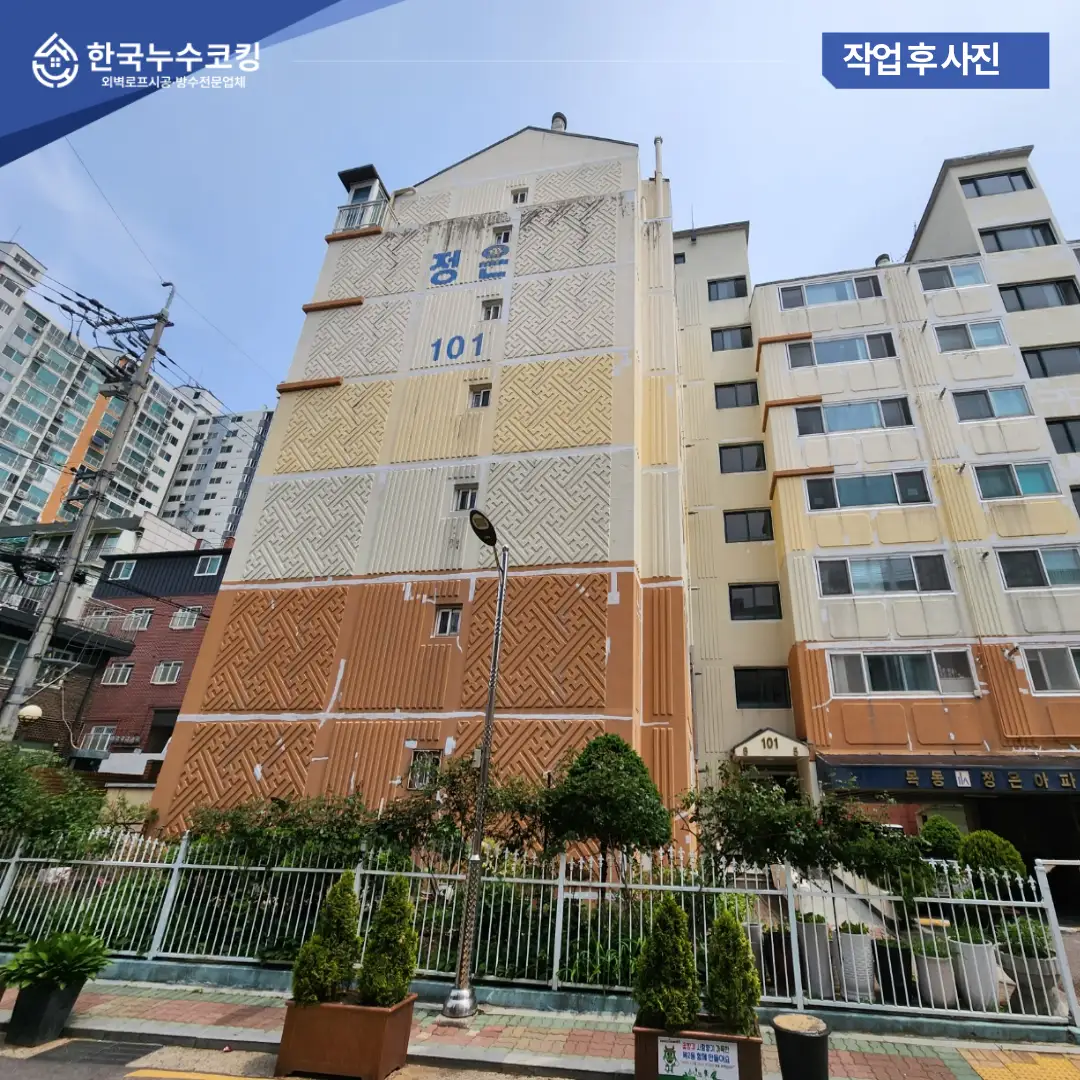 이미지 16