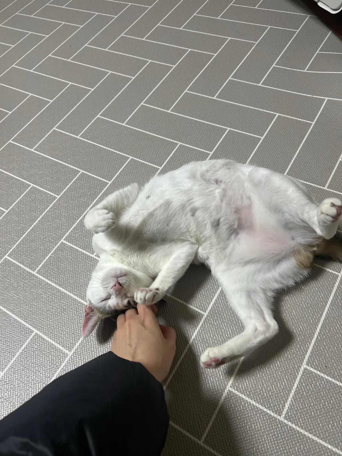 이미지 20