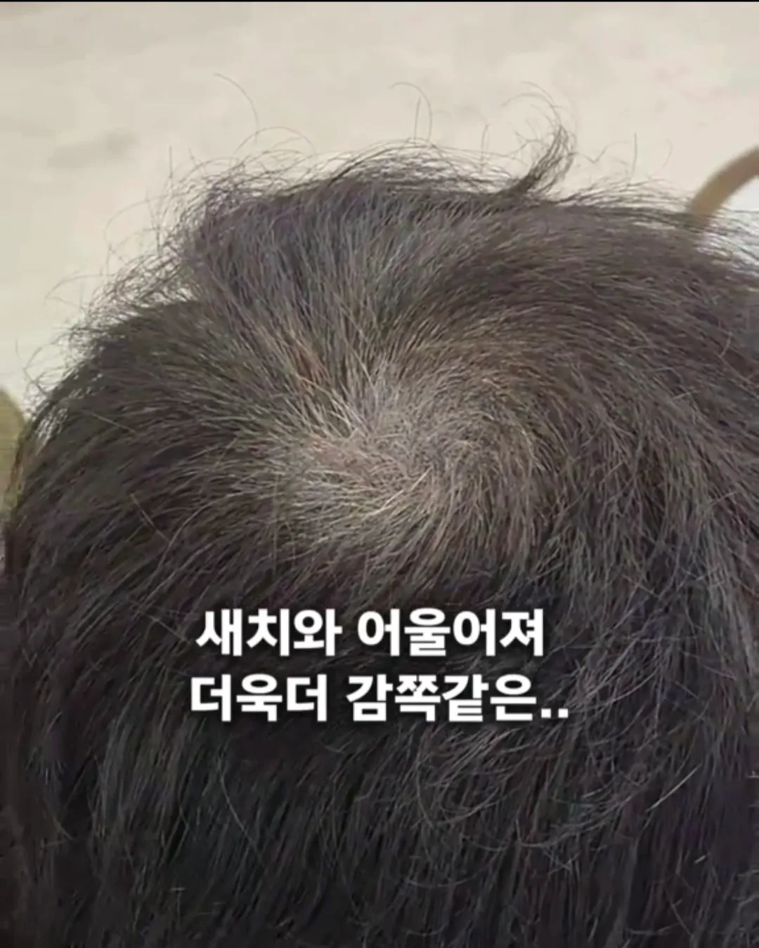 이미지 5
