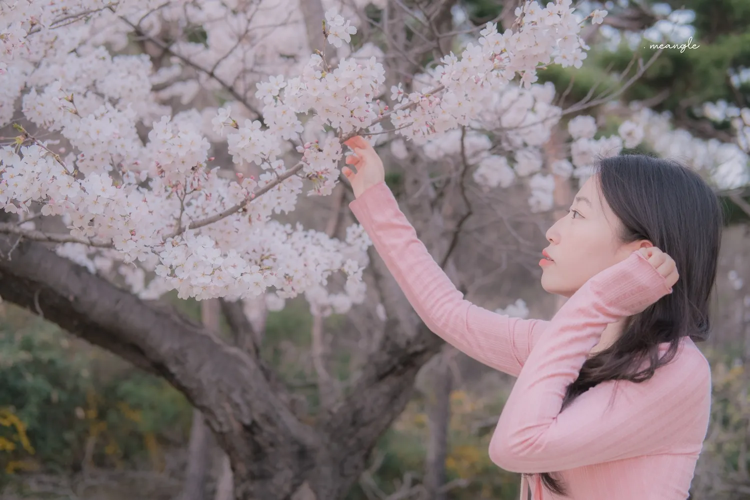이미지 5