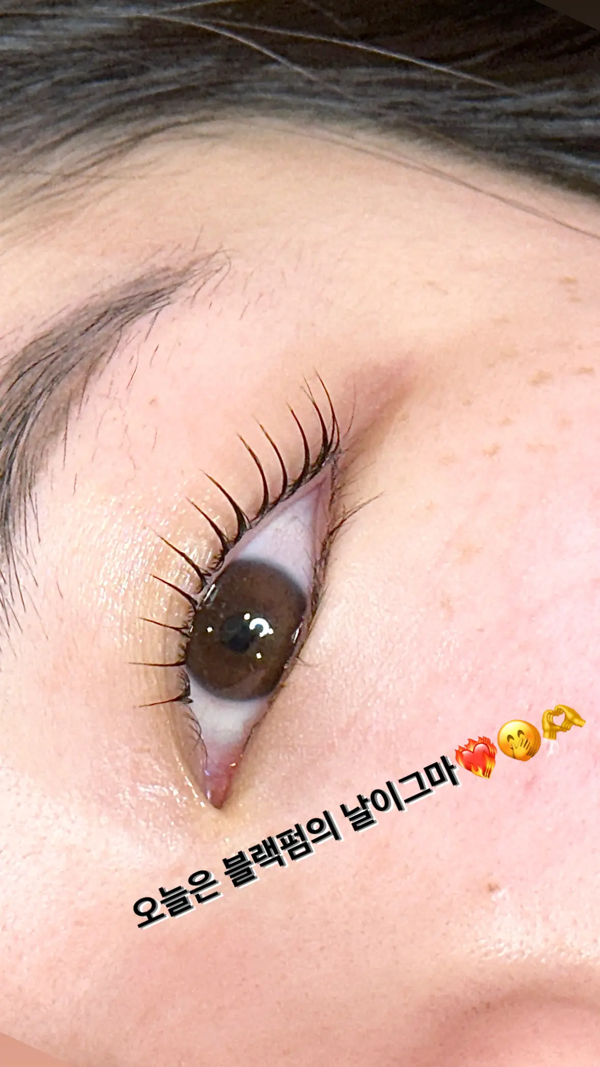 이미지 6