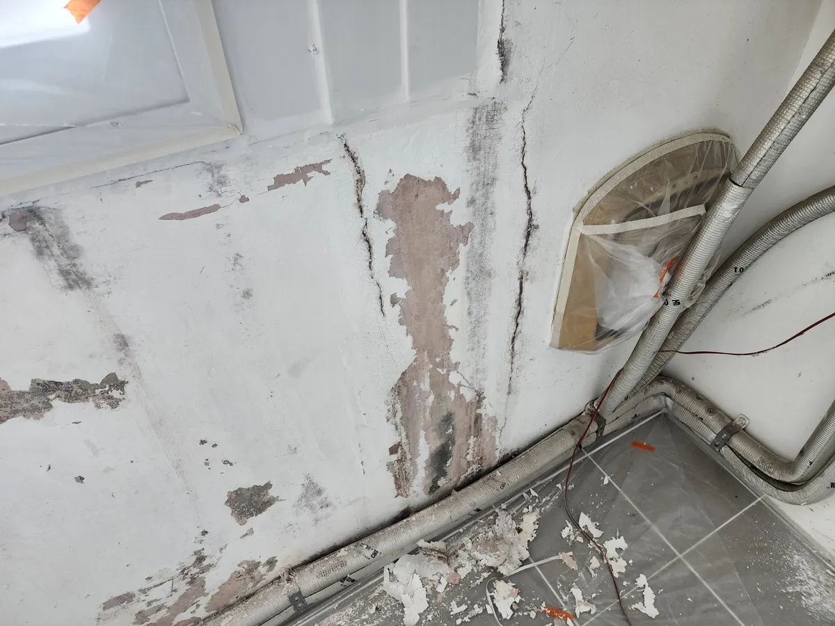 이미지 6