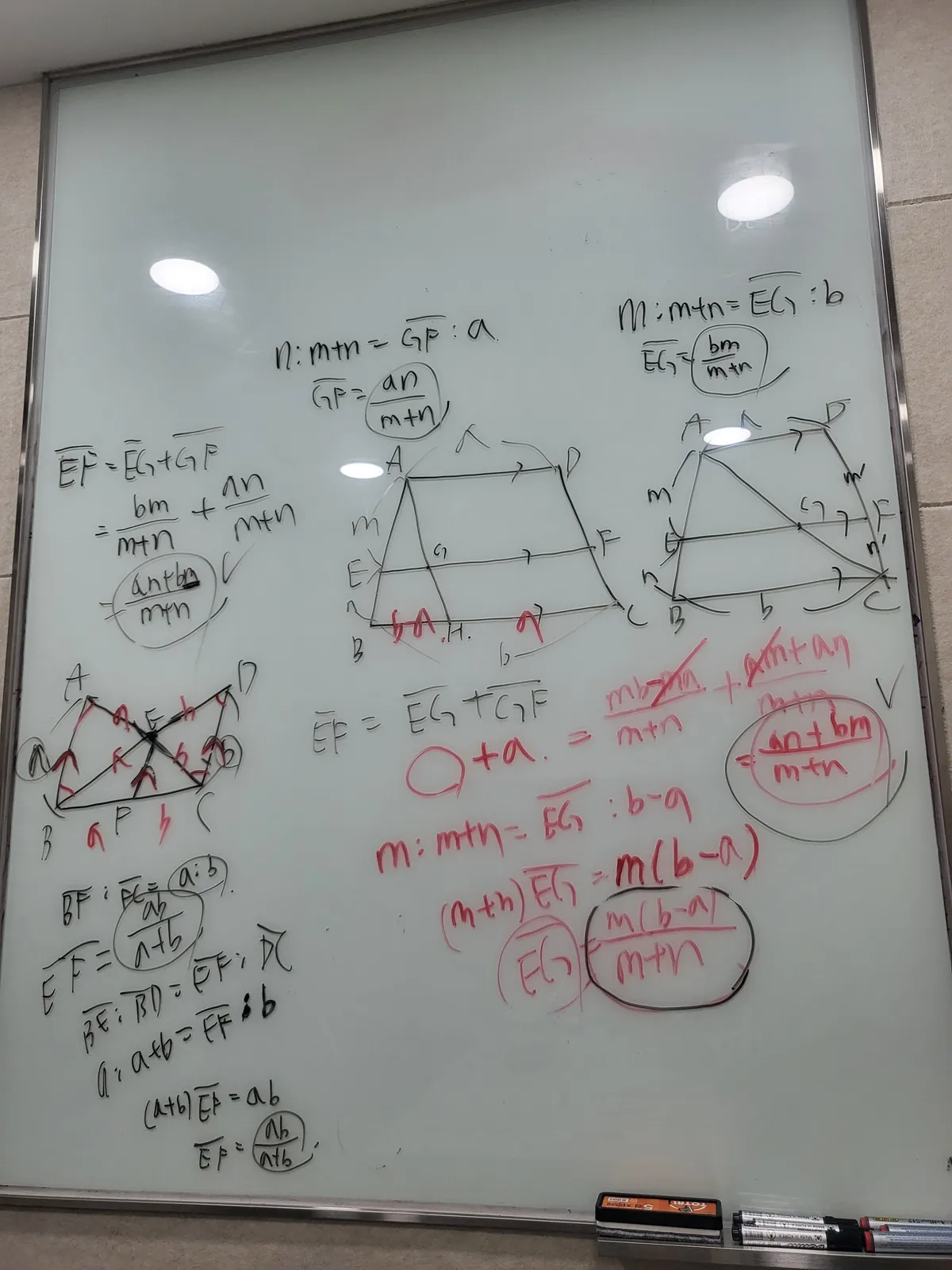이미지 6