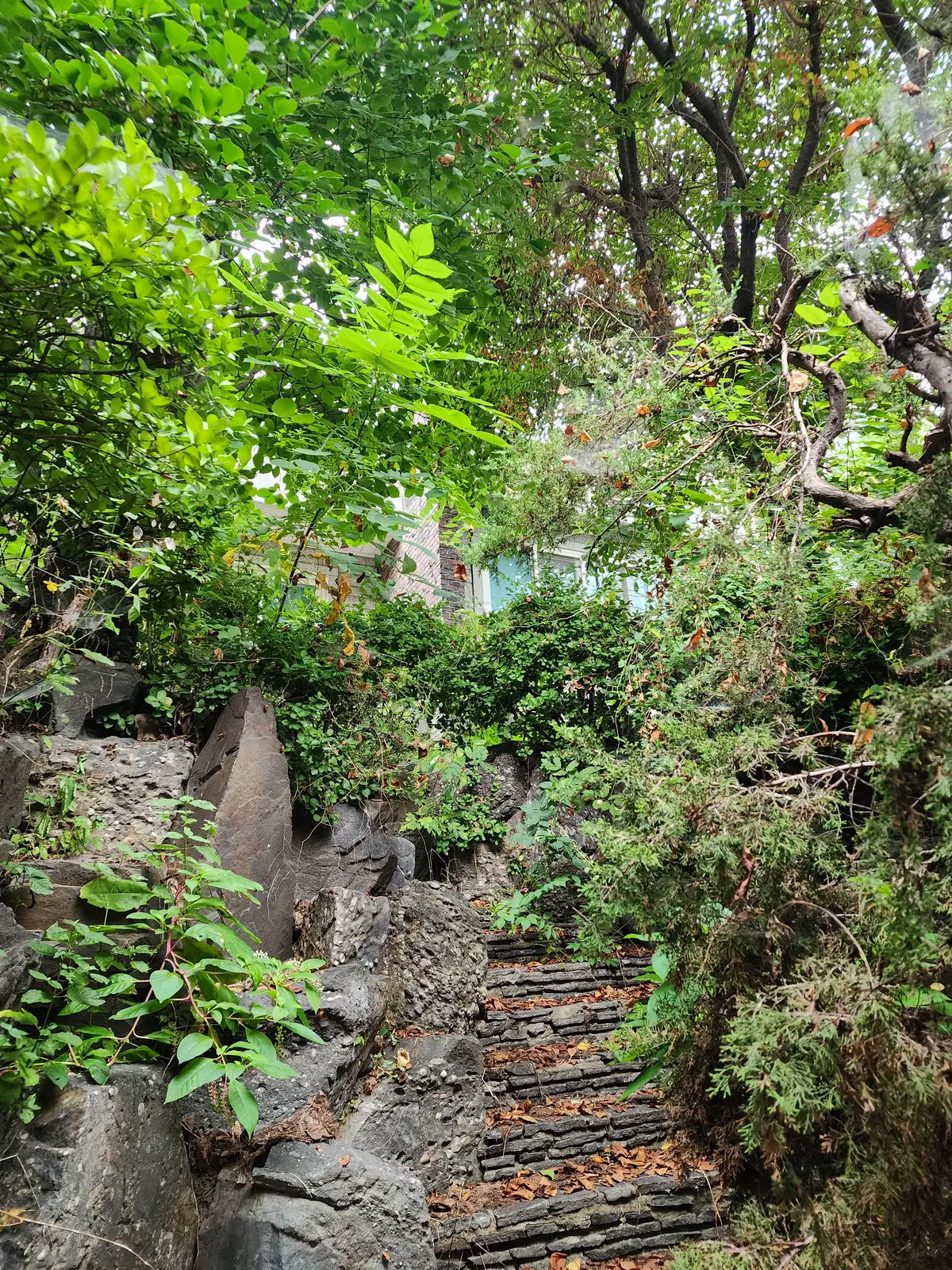 이미지 8