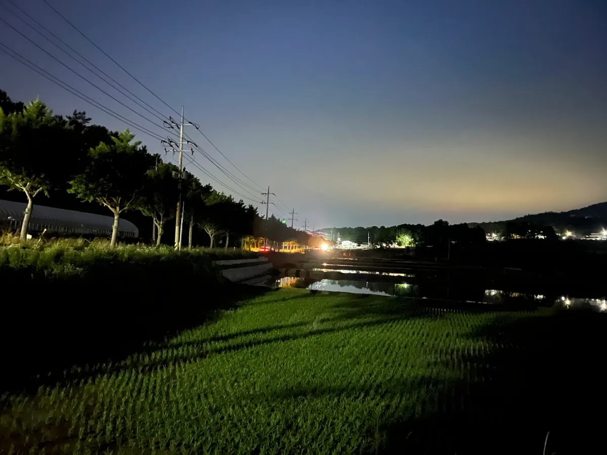 이미지 14
