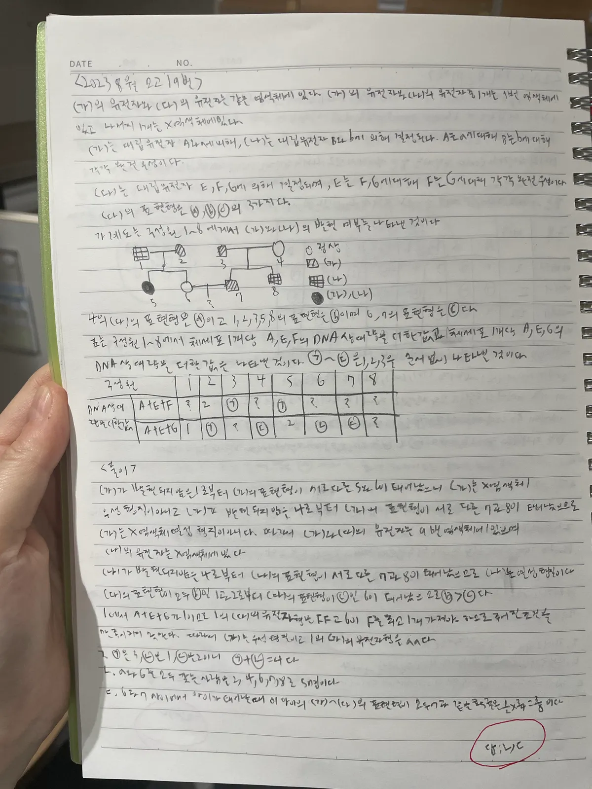이미지 3