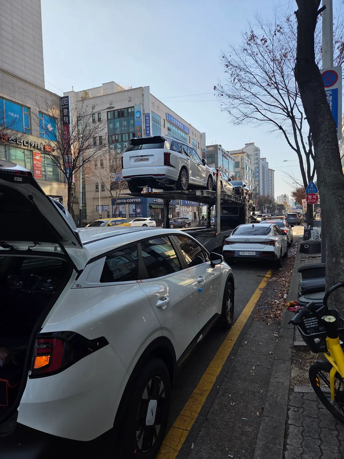 이미지 12