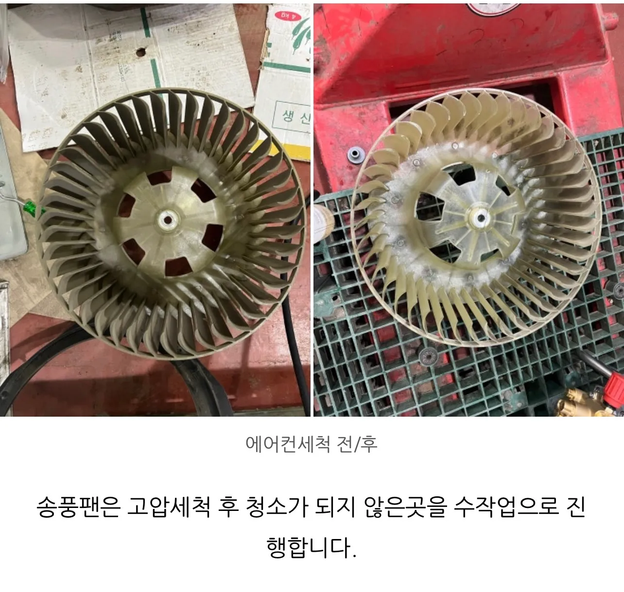 이미지 12