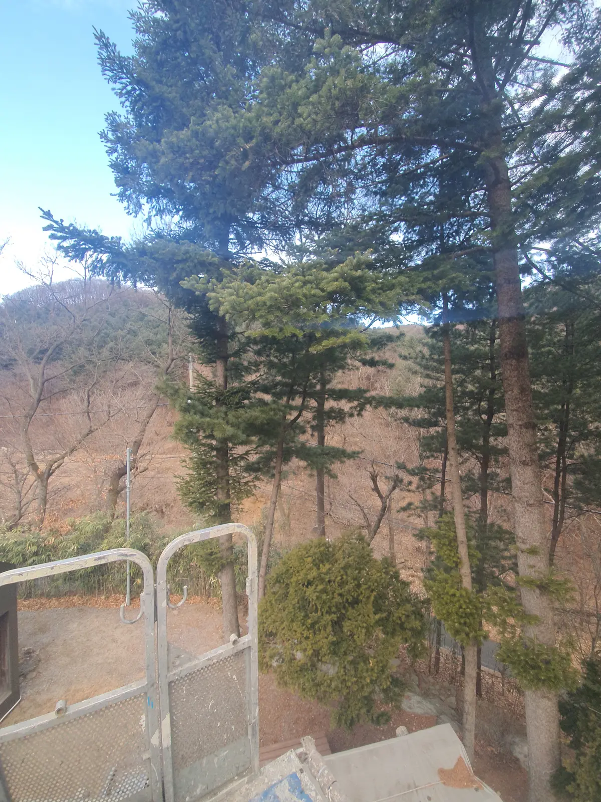 이미지 2