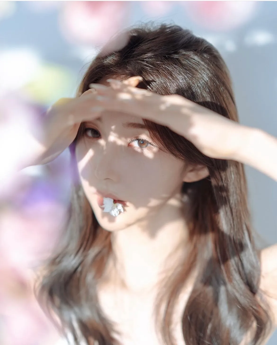 이미지 6