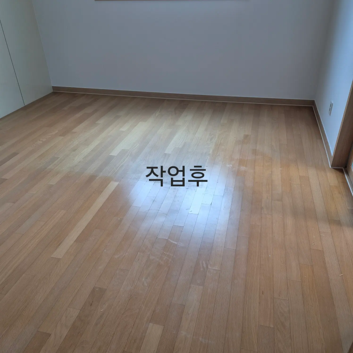 이미지 14