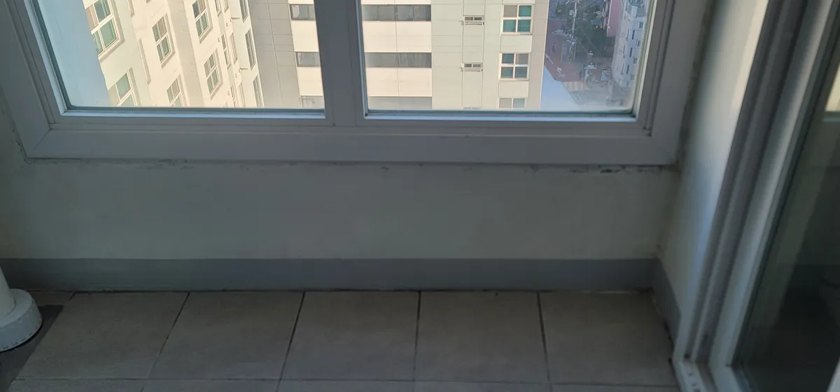 이미지 16