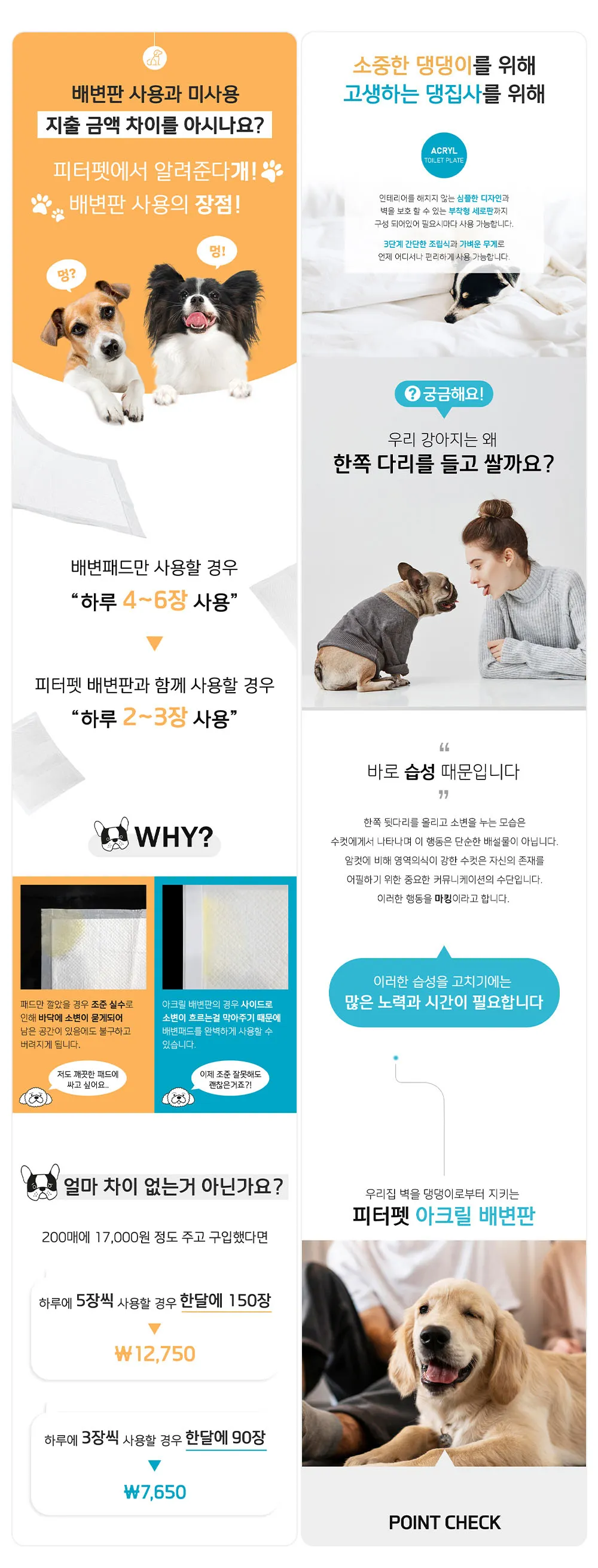이미지 7