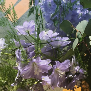 원하시는 색감을 알려주세오