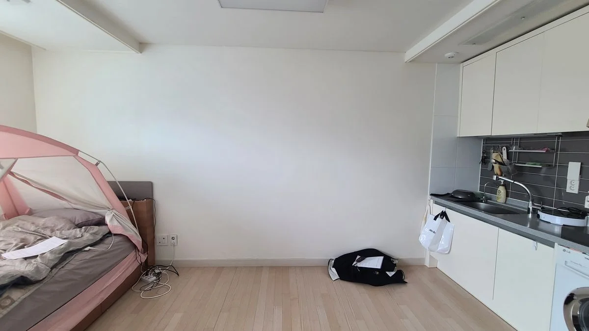 이미지 5