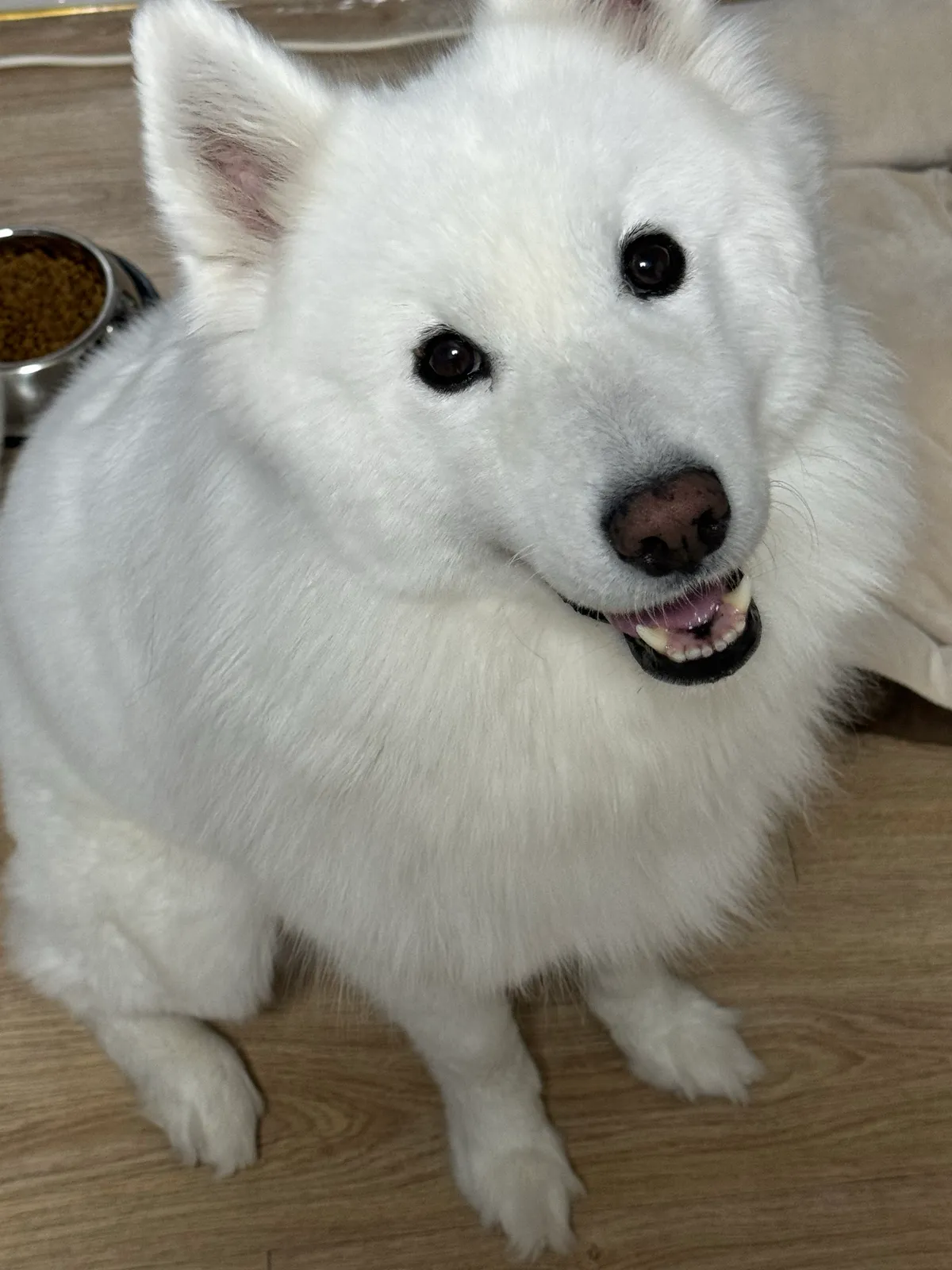 이미지 8