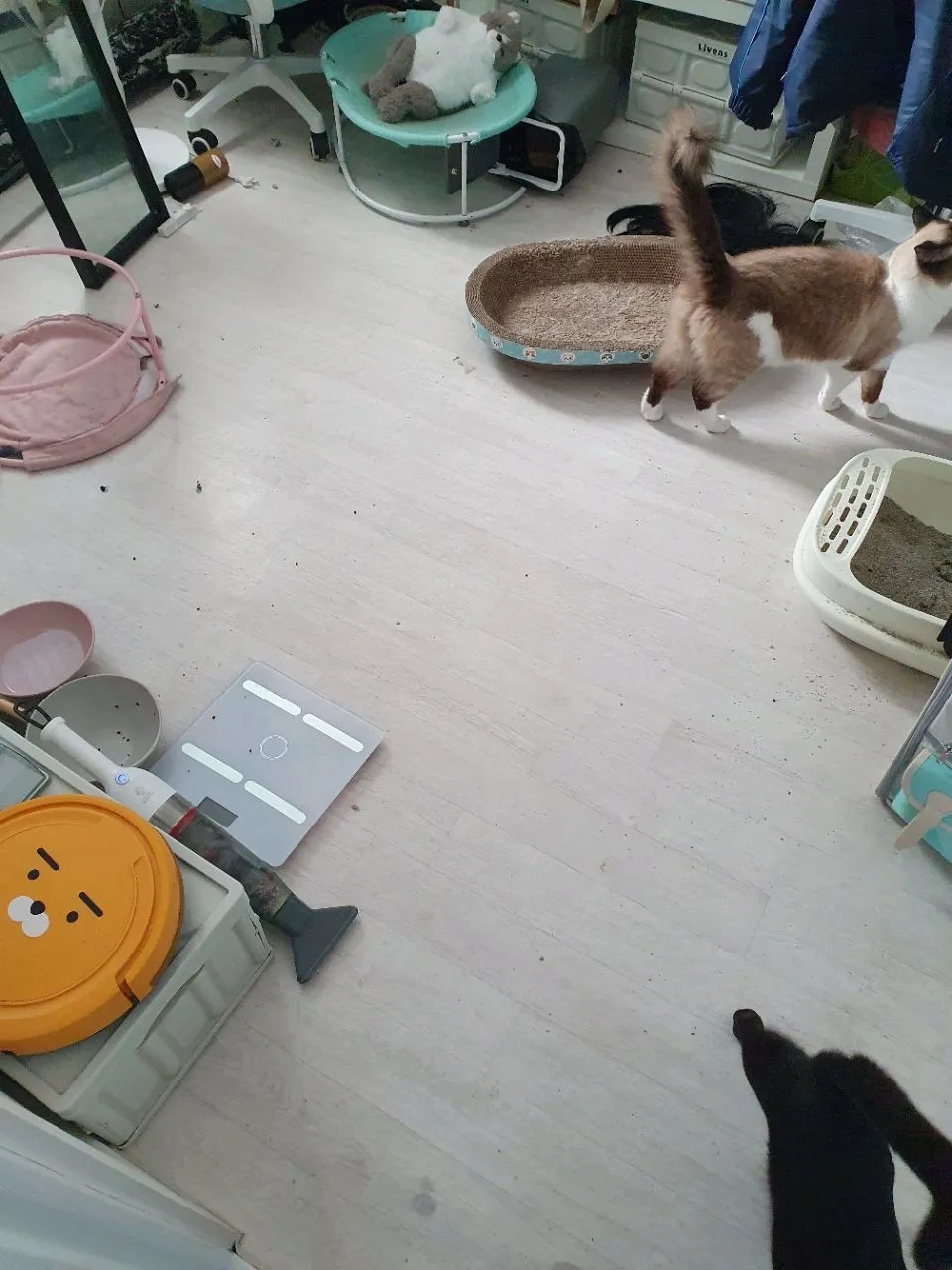 이미지 8