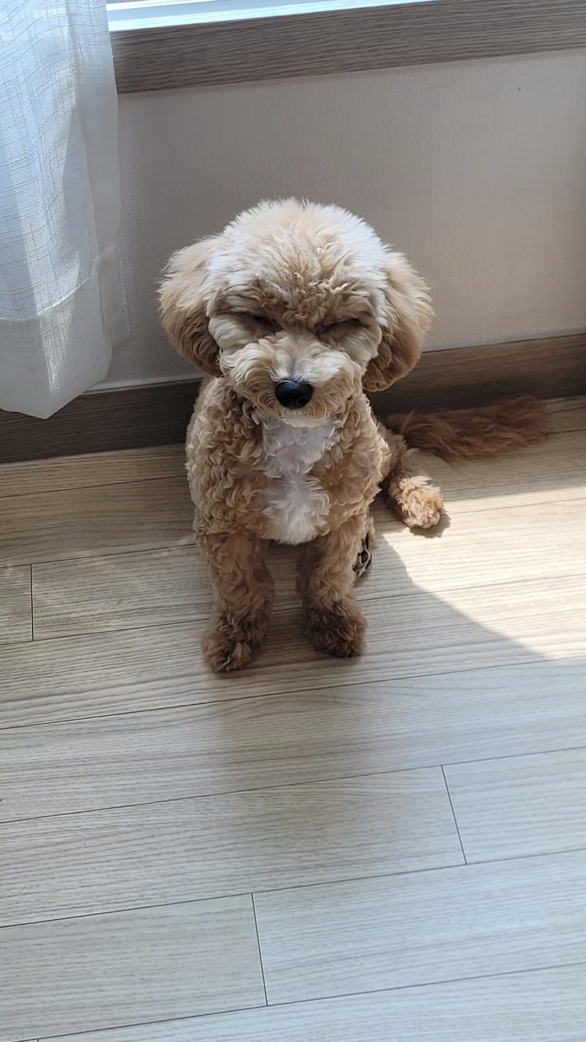 이미지 3