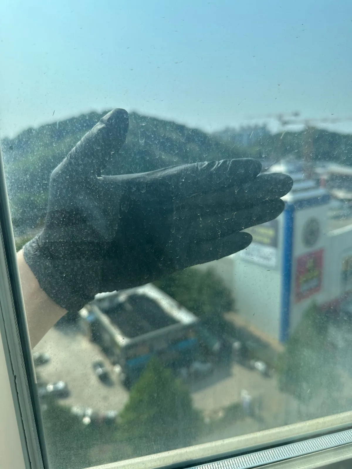 이미지 12
