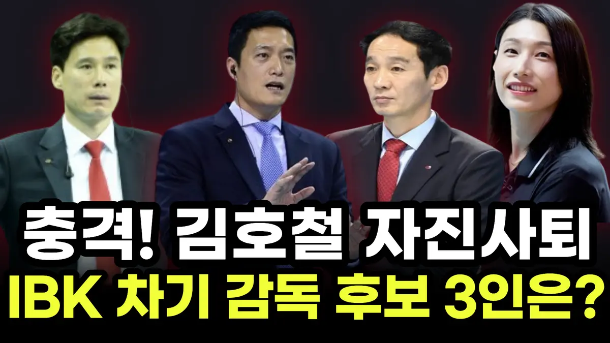 이미지 11