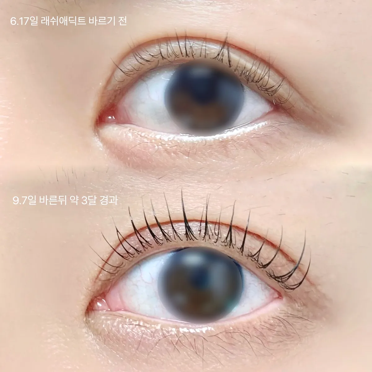 이미지 4