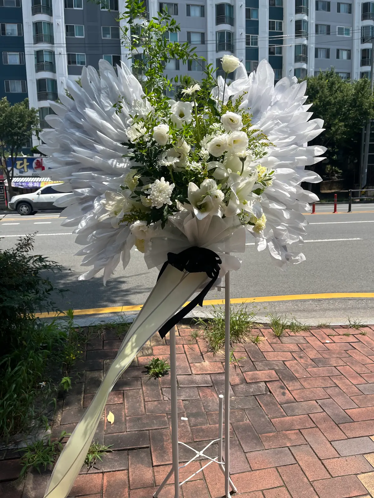 이미지 11