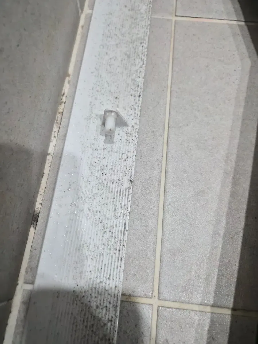 이미지 8