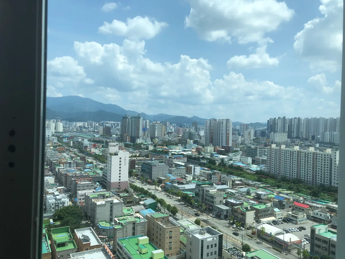 이미지 4