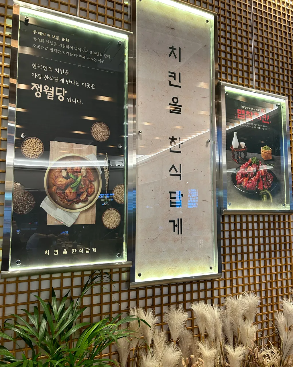 이미지 8
