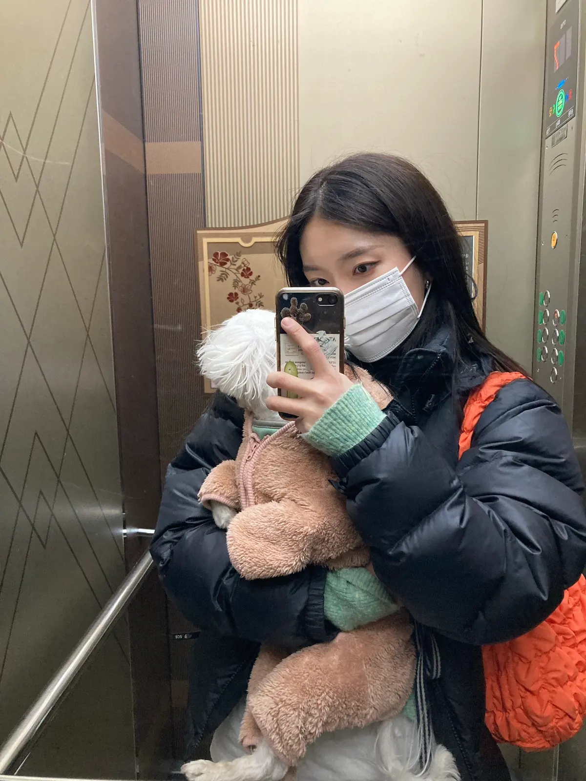 이미지 7
