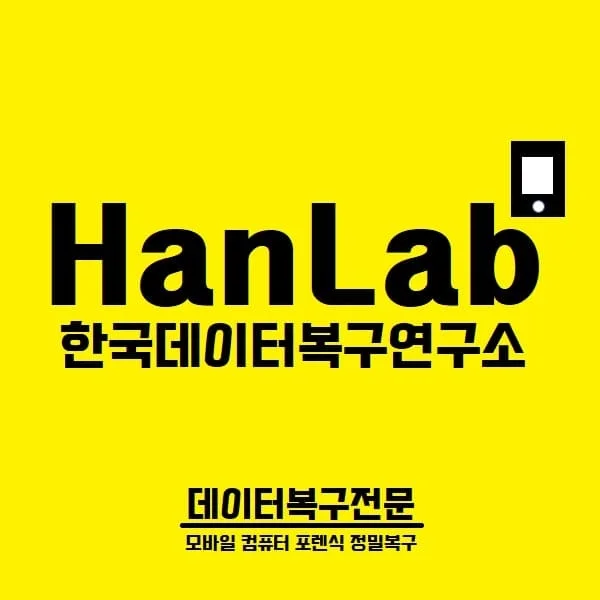 이미지 8