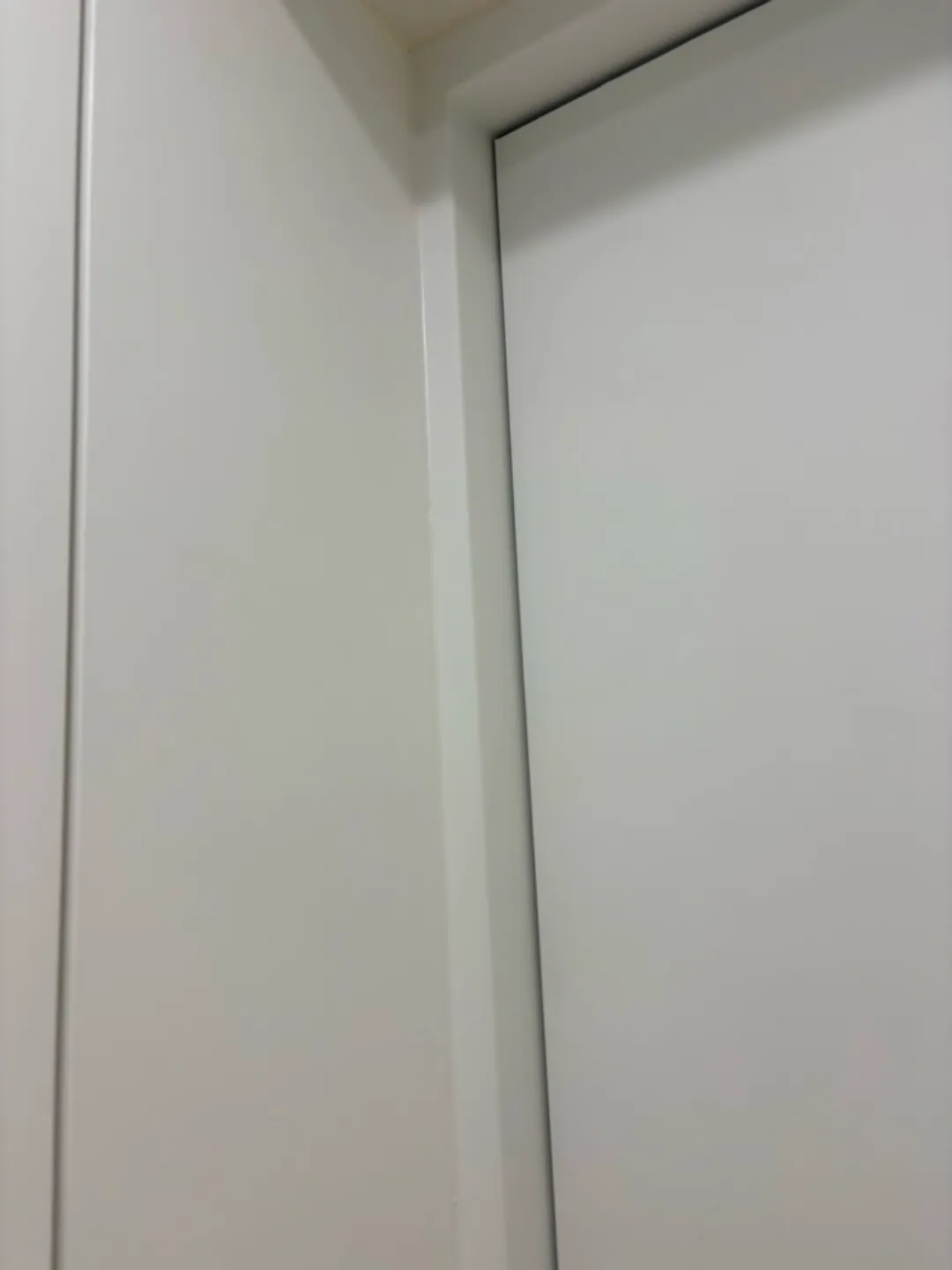 이미지 7