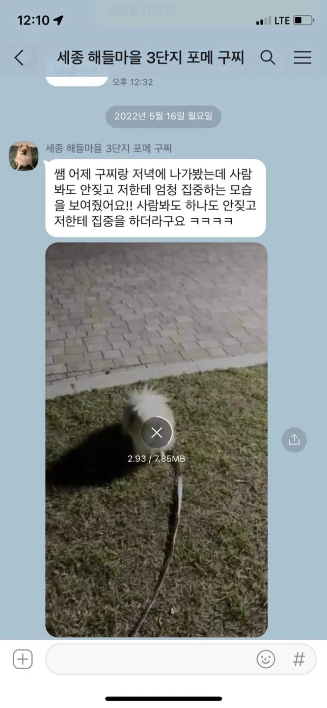 이미지 7
