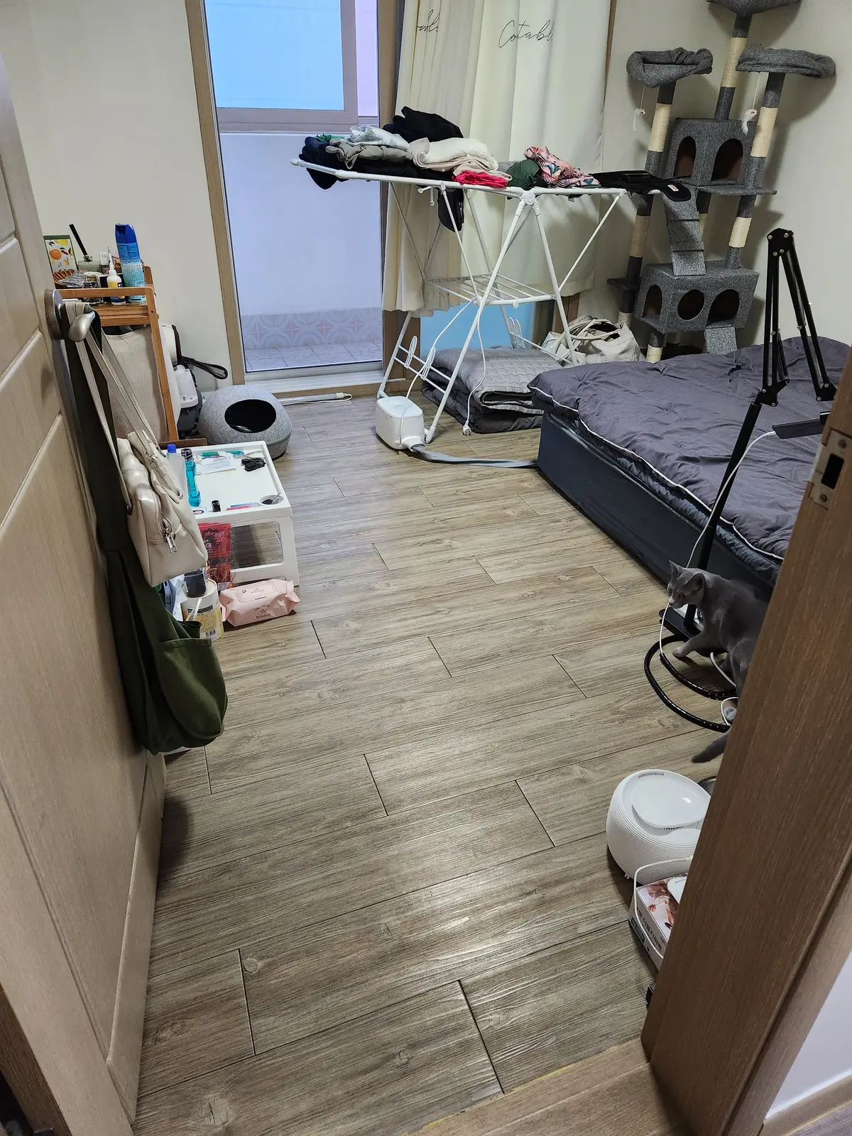 이미지 3