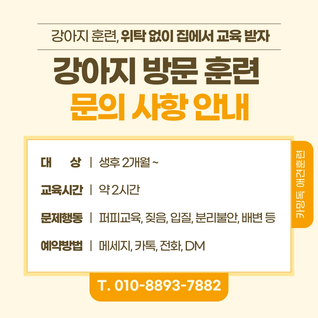 이미지 5