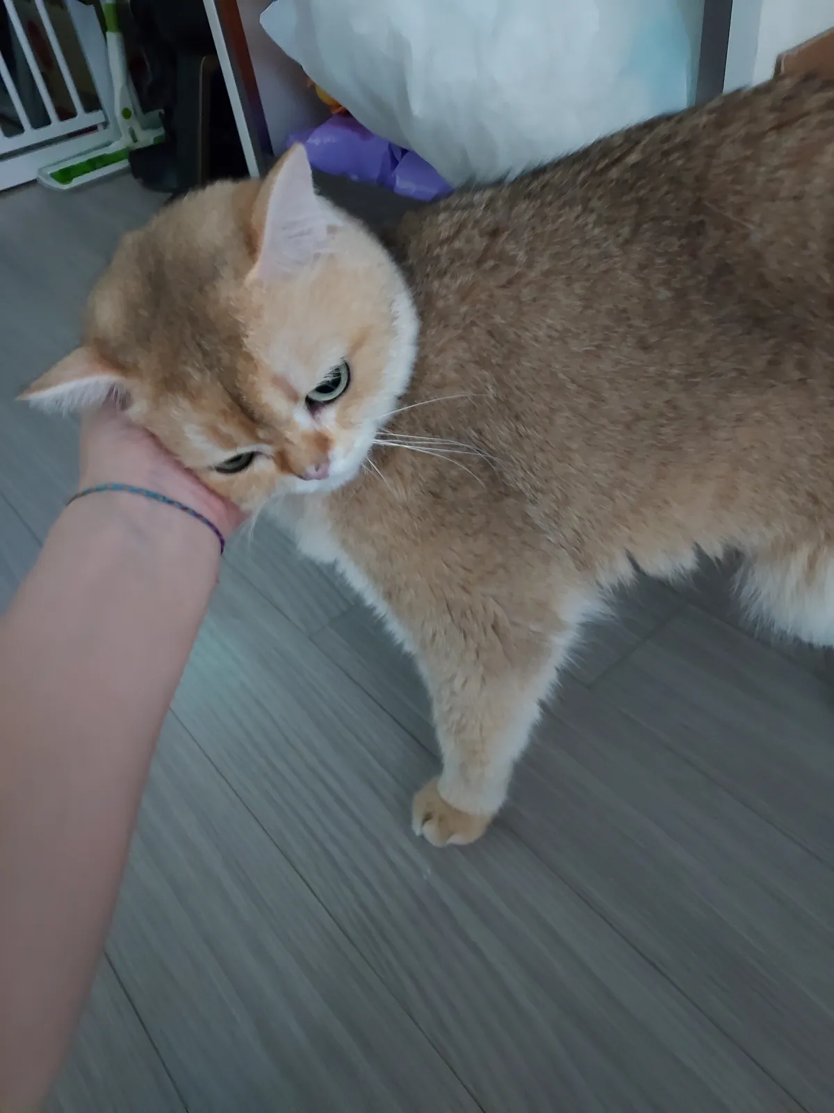 이미지 10