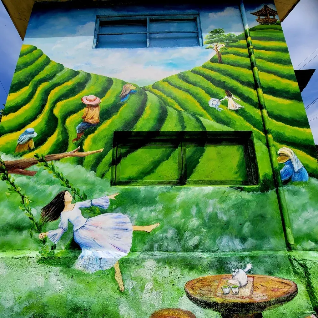 포트폴리오 이미지